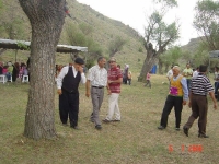 2008 DEVREZ ŞENLİĞİ